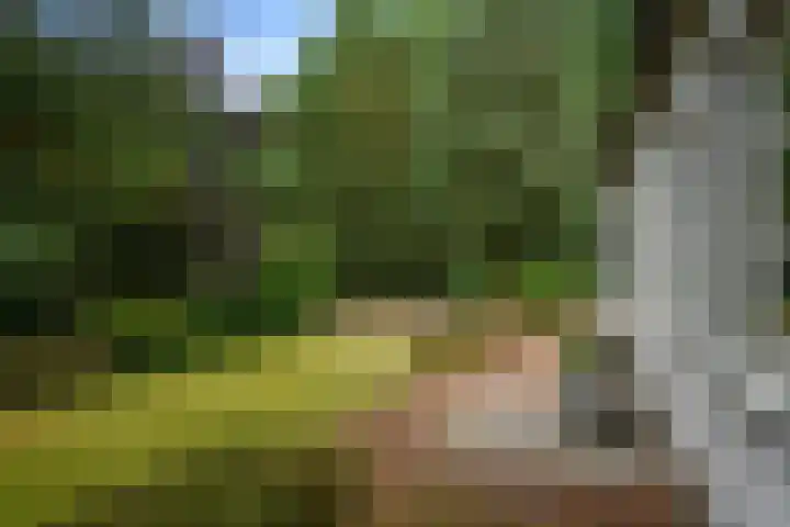 Heikantseweg 31 Middelaar thumbnail 43