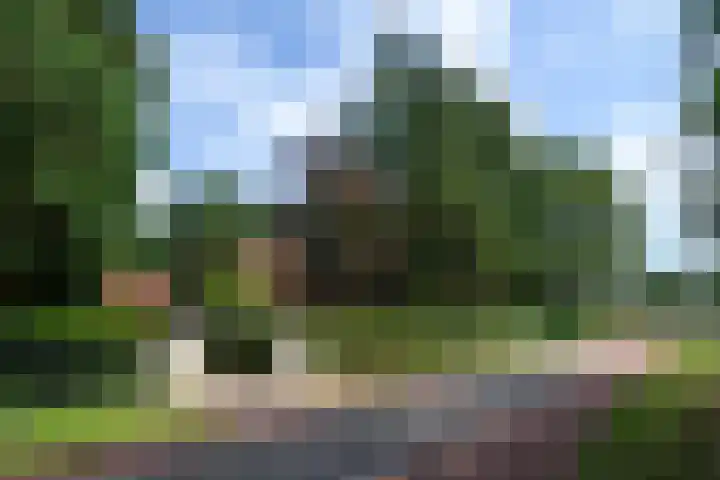 Heikantseweg 31 Middelaar thumbnail 52
