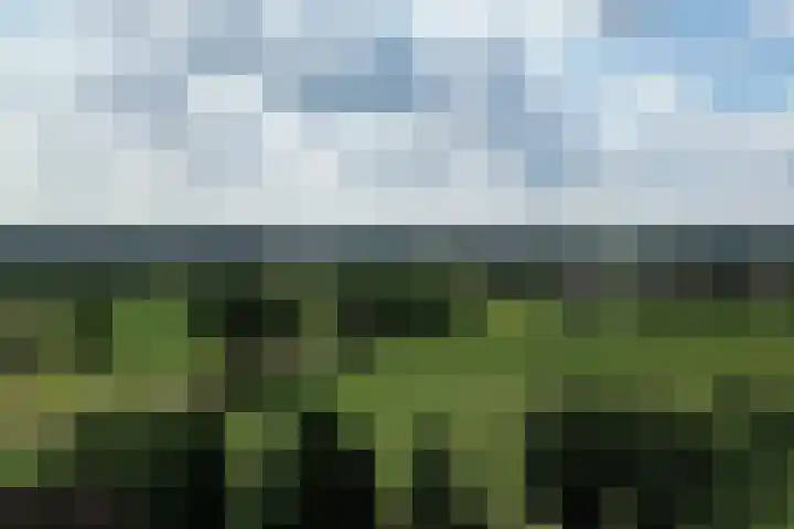Heikantseweg 31 Middelaar thumbnail 62