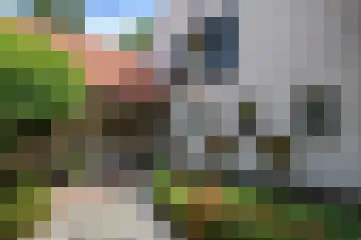 Heikantseweg 31 Middelaar thumbnail 8