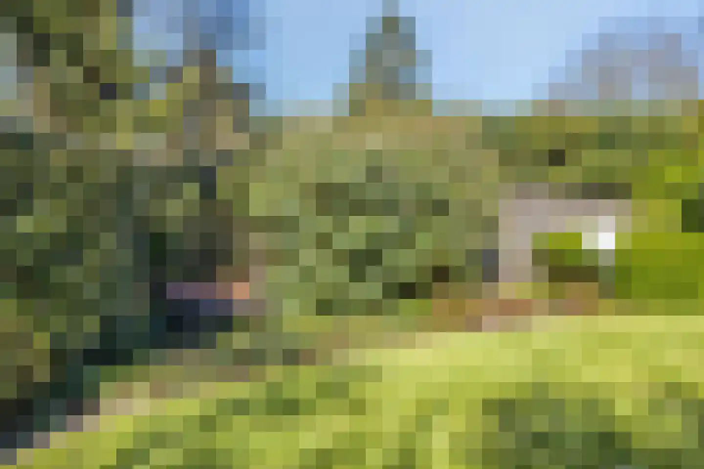Heikantseweg 50 Middelaar thumbnail 47