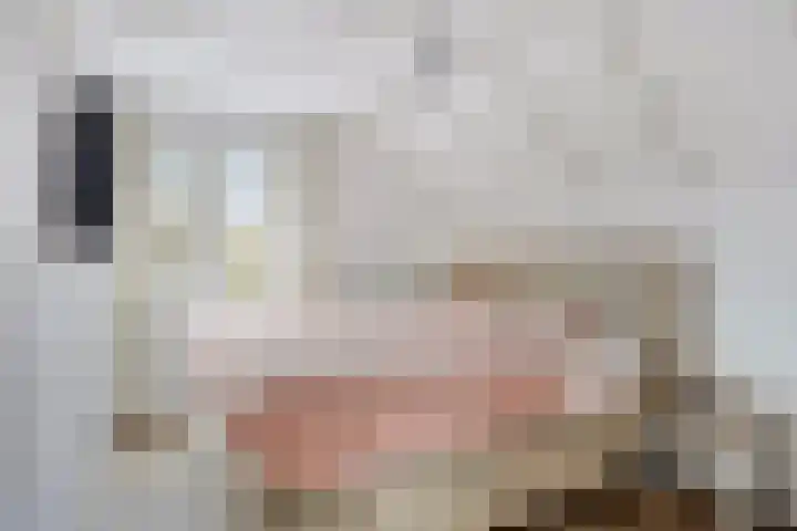 Heikantstraat 1 Budel thumbnail 14