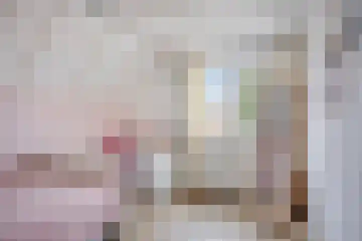 Heikantstraat 1 Budel thumbnail 17