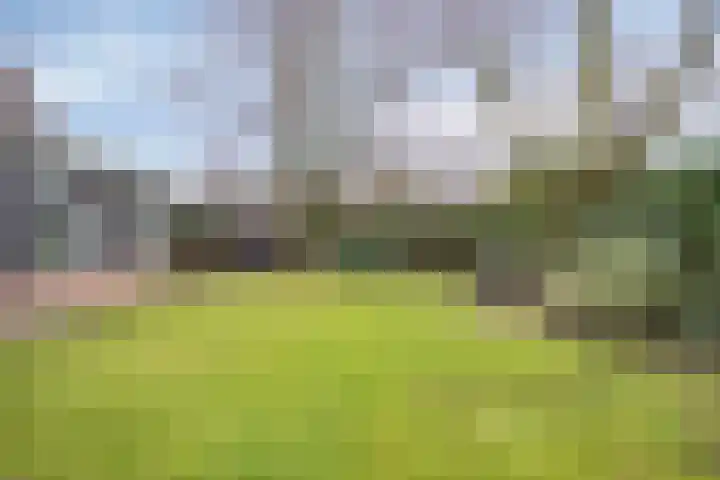 Heikantstraat 1 Budel thumbnail 26