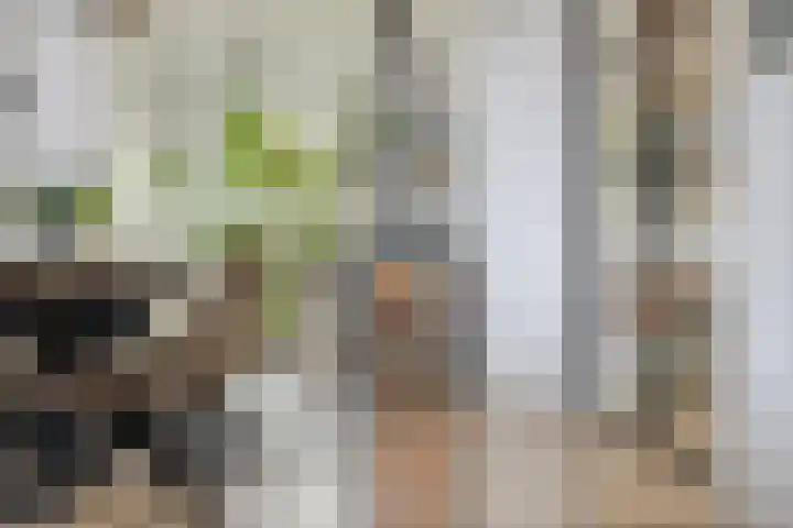 Heikantstraat 1 Budel thumbnail 4