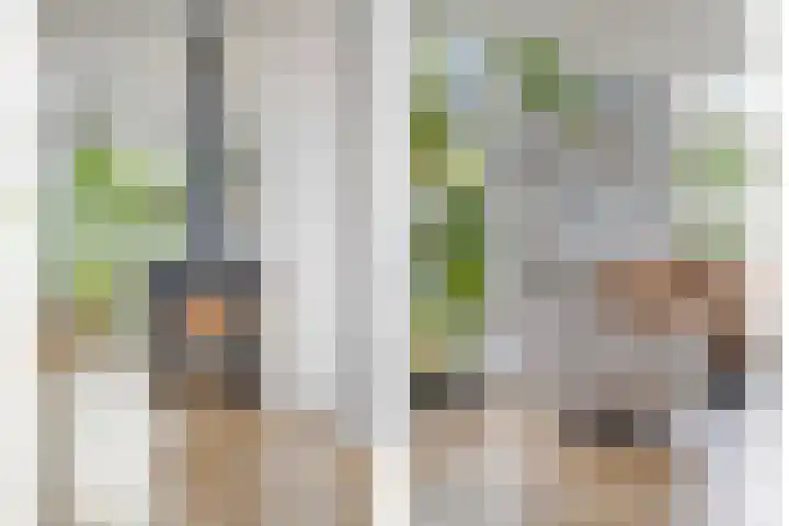 Heikantstraat 1 Budel thumbnail 5