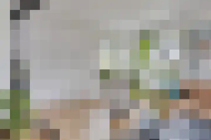 Heikantstraat 1 Budel thumbnail 6