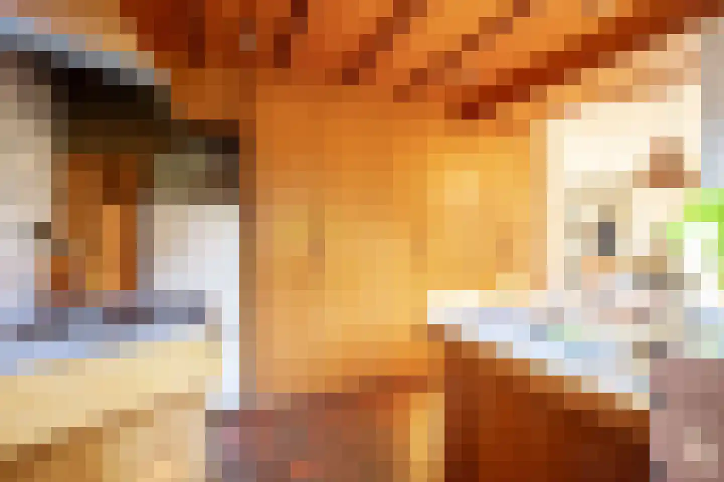 Heikantstraat 15 Waalre thumbnail 11