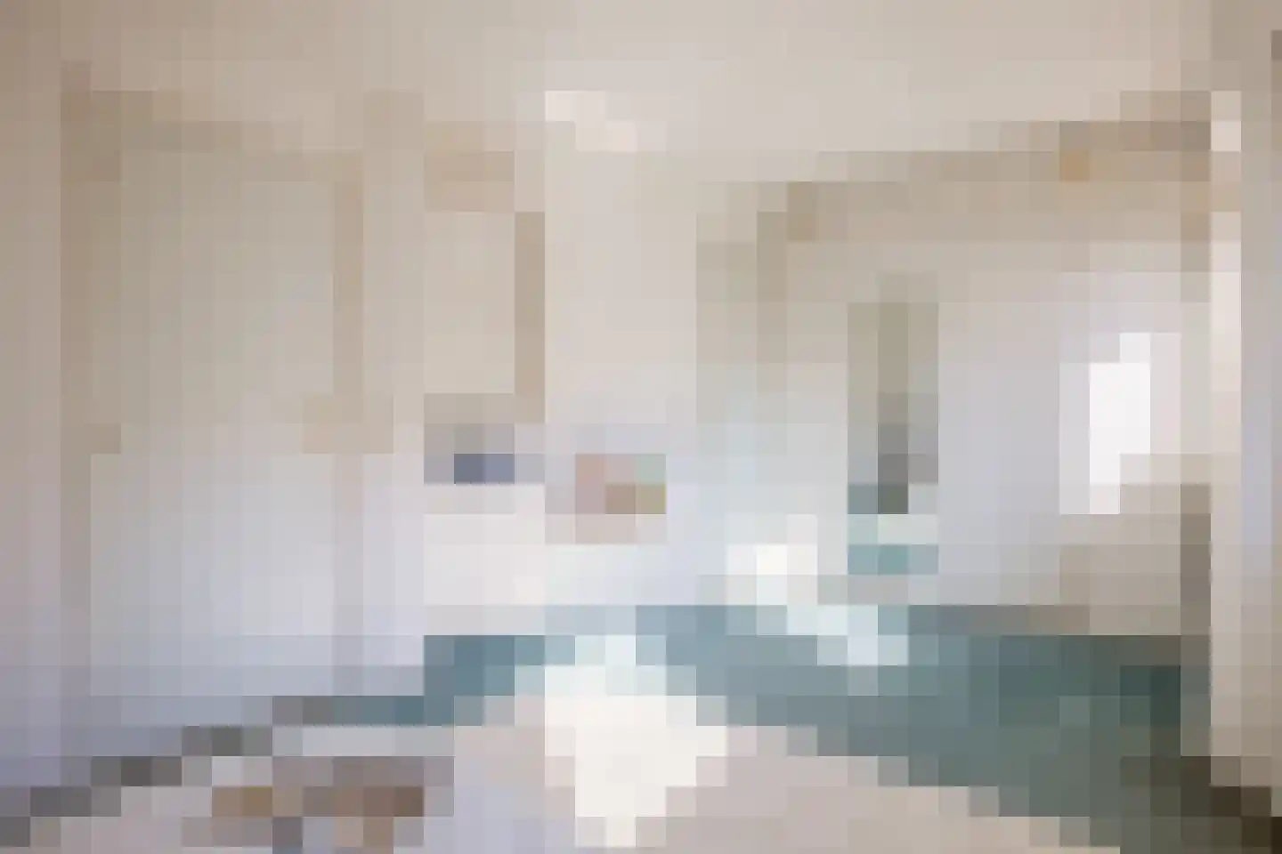 Heikantstraat 15 Waalre thumbnail 20