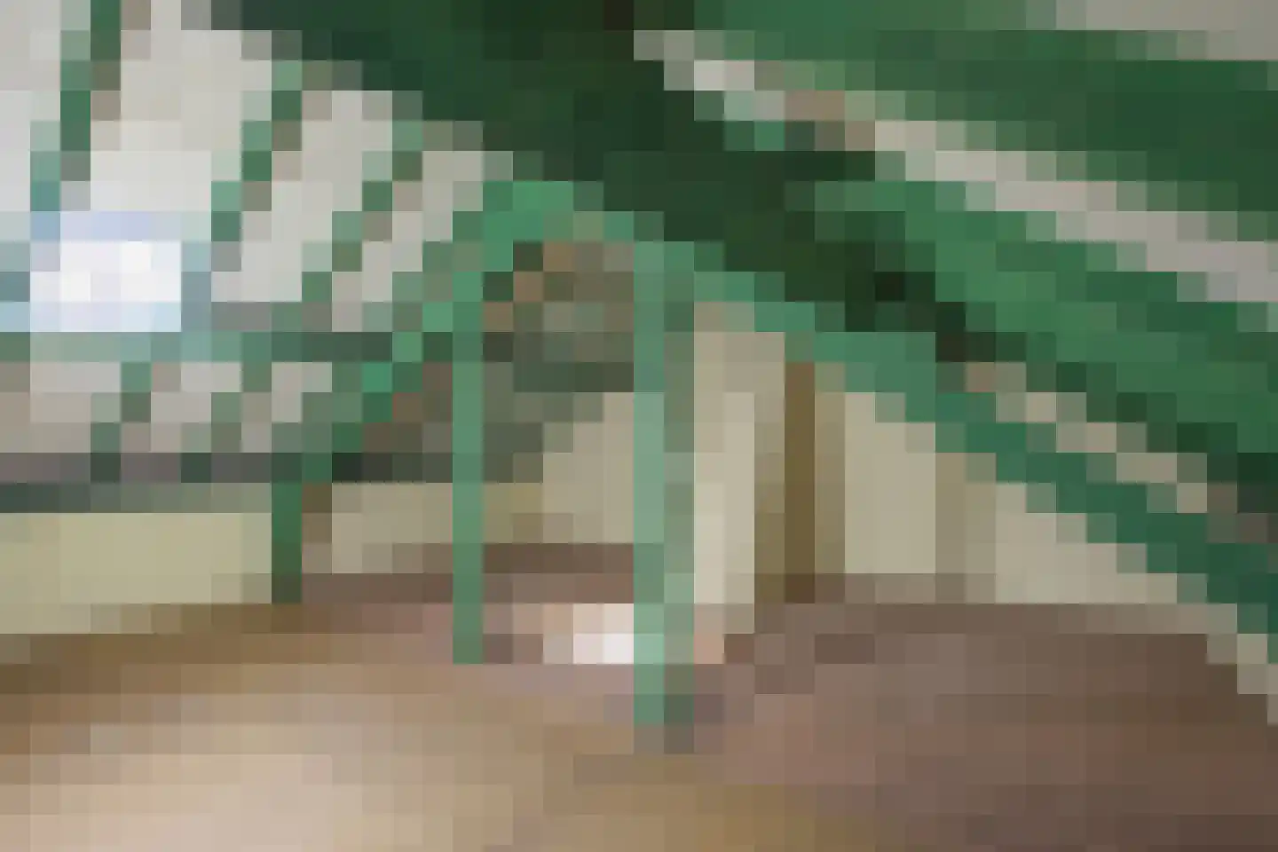 Heikantstraat 15 Waalre thumbnail 31
