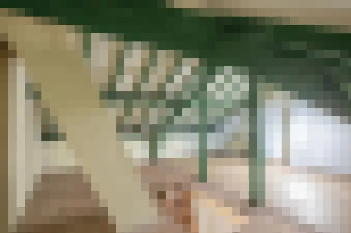 Heikantstraat 15 Waalre thumbnail 32