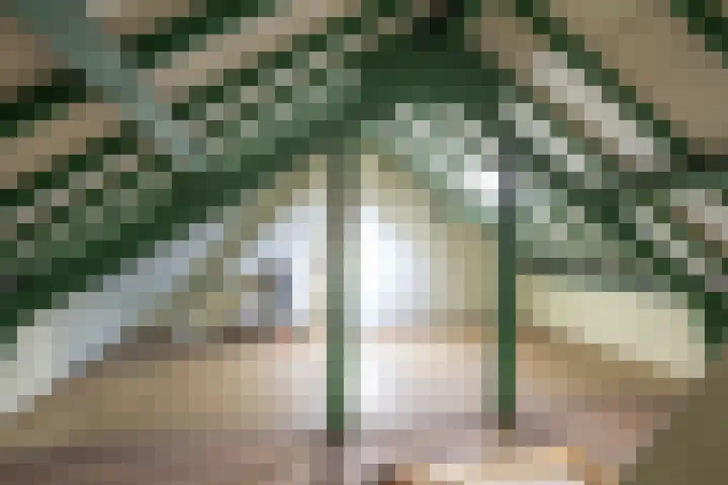 Heikantstraat 15 Waalre thumbnail 33