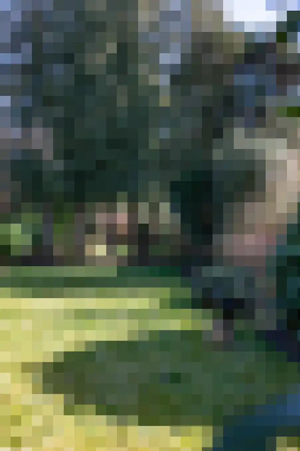 Heikantstraat 15 Waalre thumbnail 48