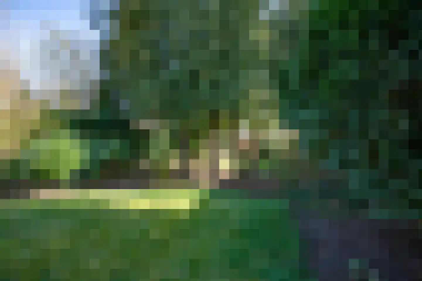 Heikantstraat 15 Waalre thumbnail 49