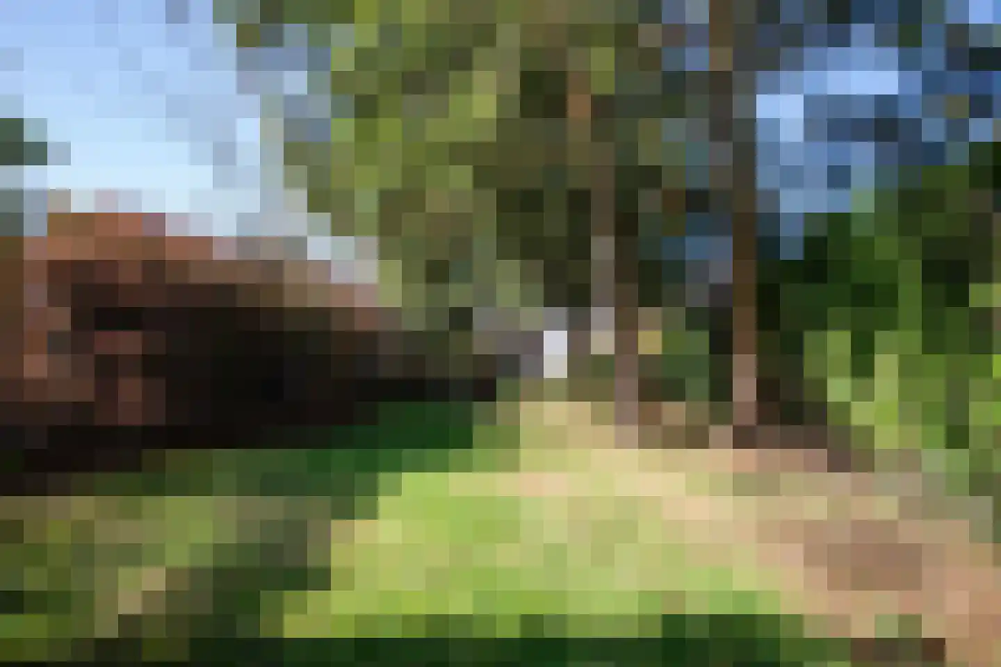 Heikantstraat 15 Waalre thumbnail 50
