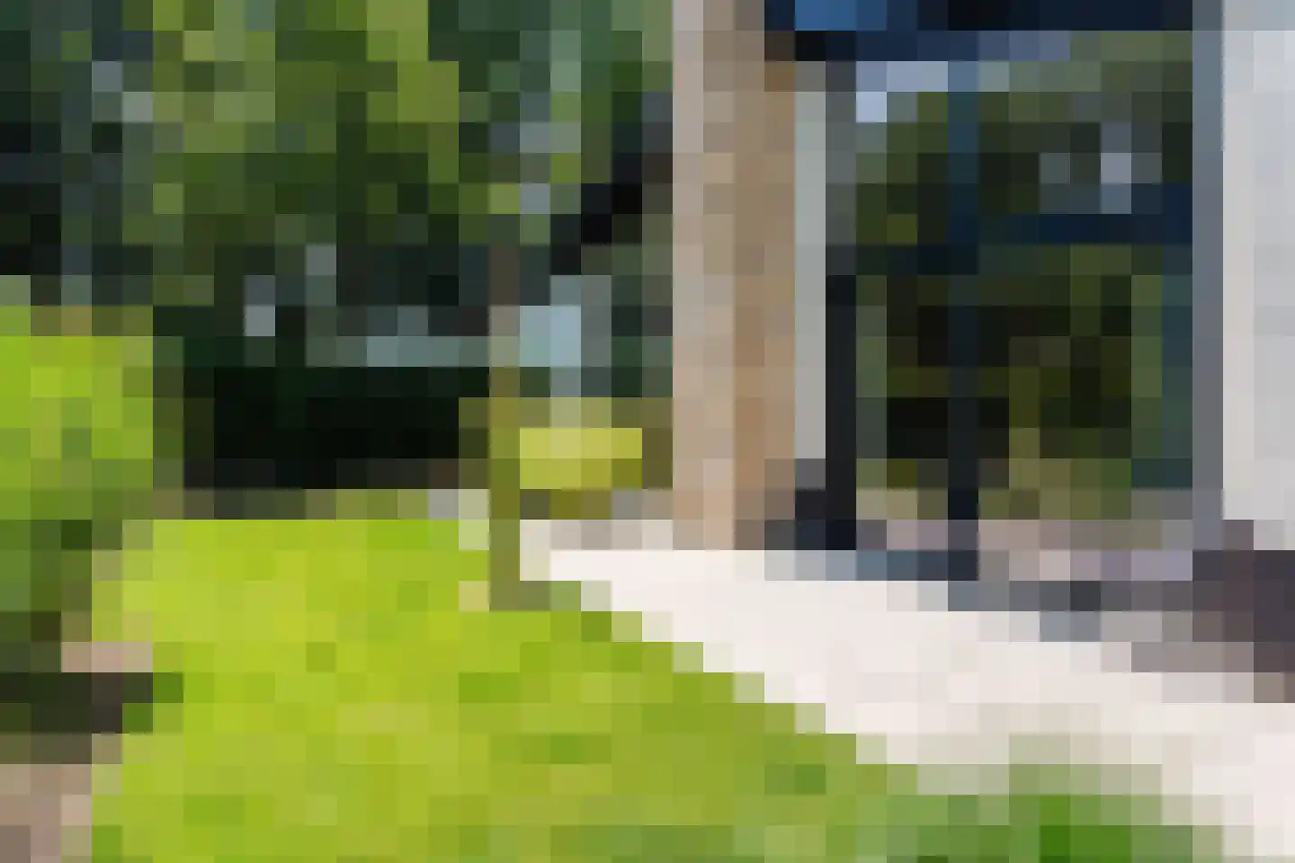 Heikantstraat 31 l Waalre thumbnail 37