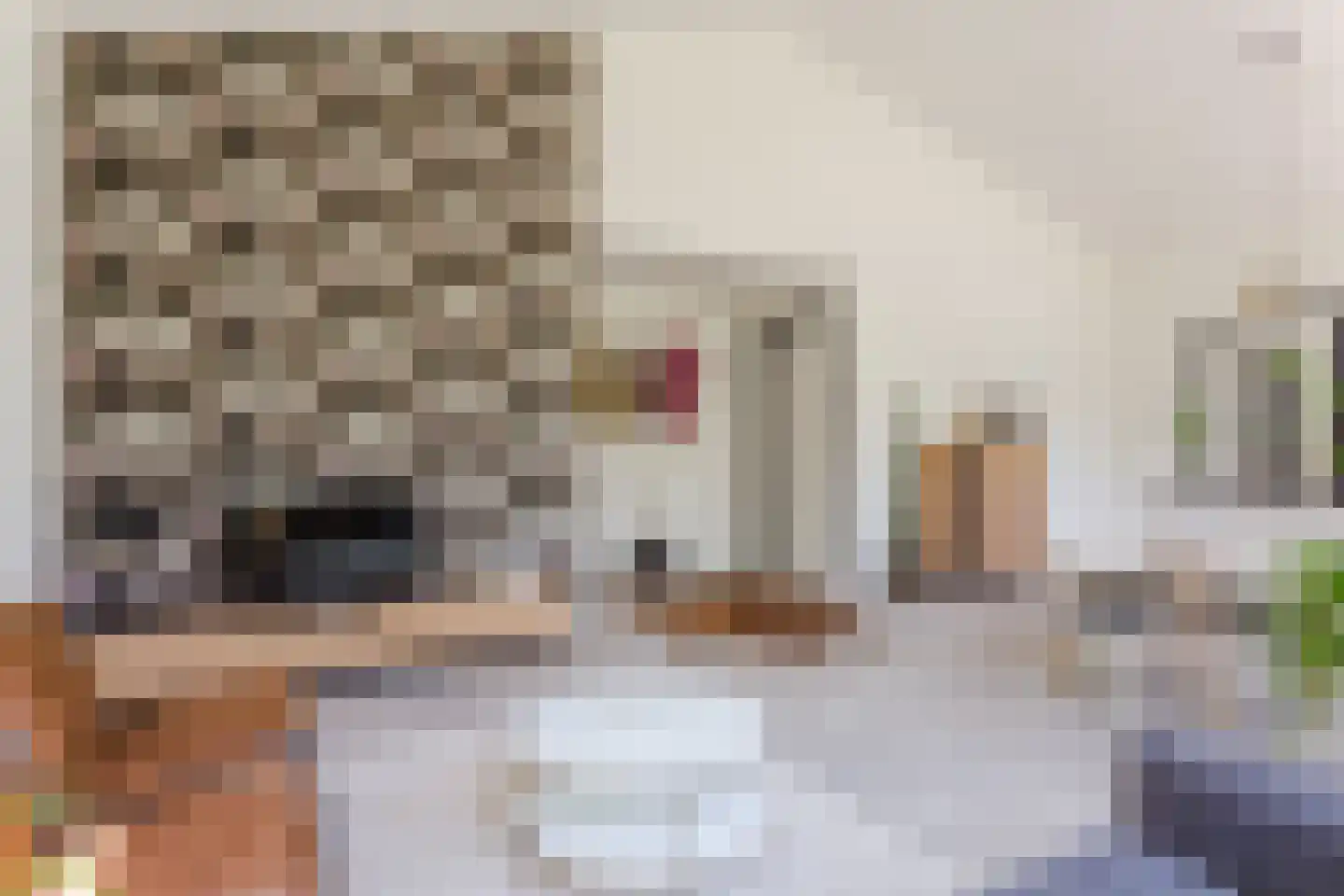 Heikantstraat 31 l Waalre thumbnail 7