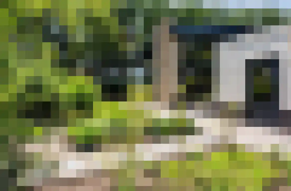 Heikantstraat 31 Waalre thumbnail 4