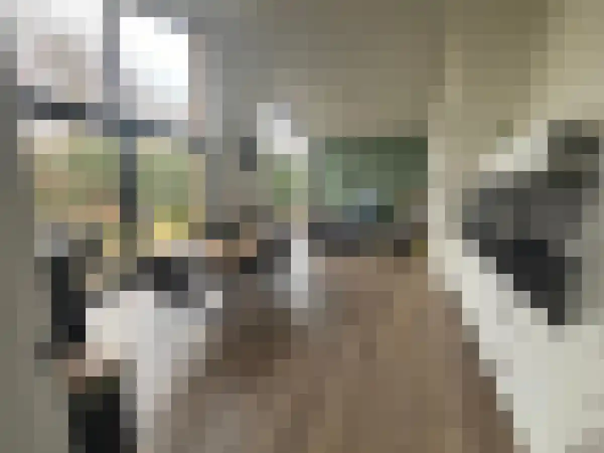 Heikantstraat 31 Waalre thumbnail 4