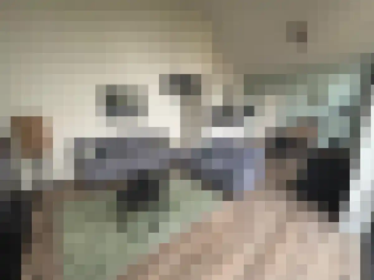 Heikantstraat 31 Waalre thumbnail 5