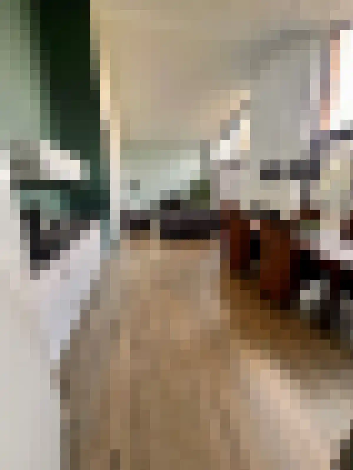 Heikantstraat 31 Waalre thumbnail 6