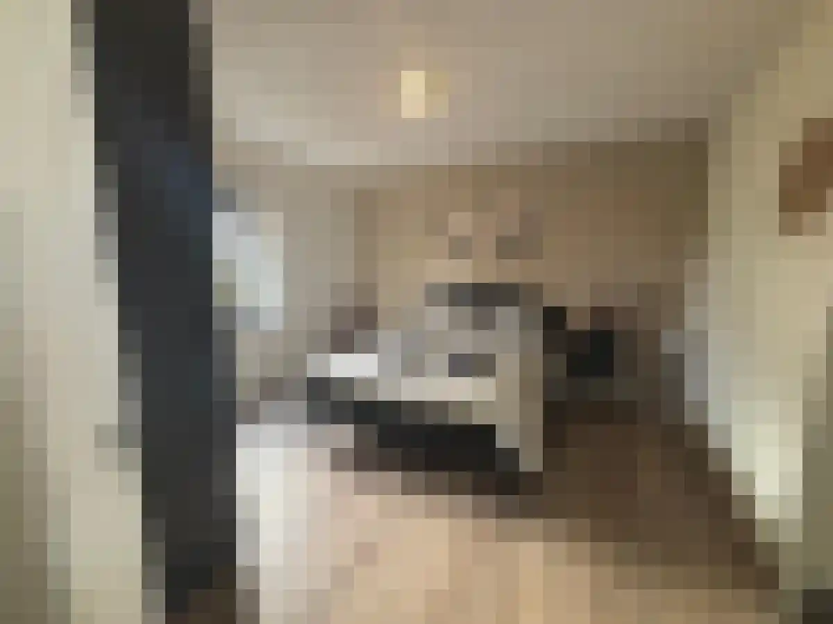 Heikantstraat 31 Waalre thumbnail 6