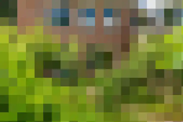 Heikantstraat 38 Someren thumbnail 32