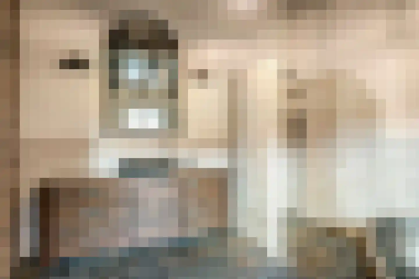 Heikantstraat 38 Someren thumbnail 35