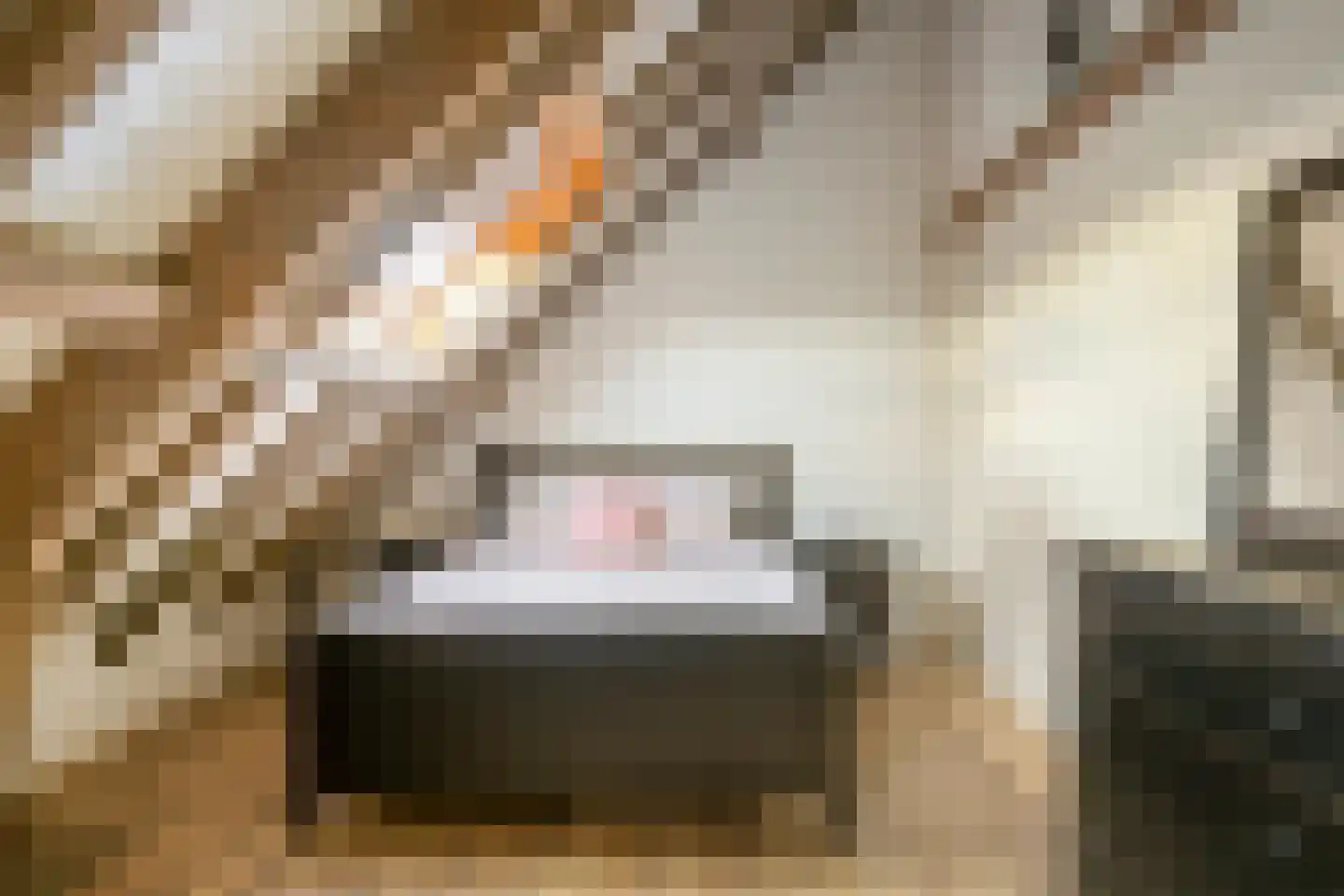 Heikantstraat 38 Someren thumbnail 37