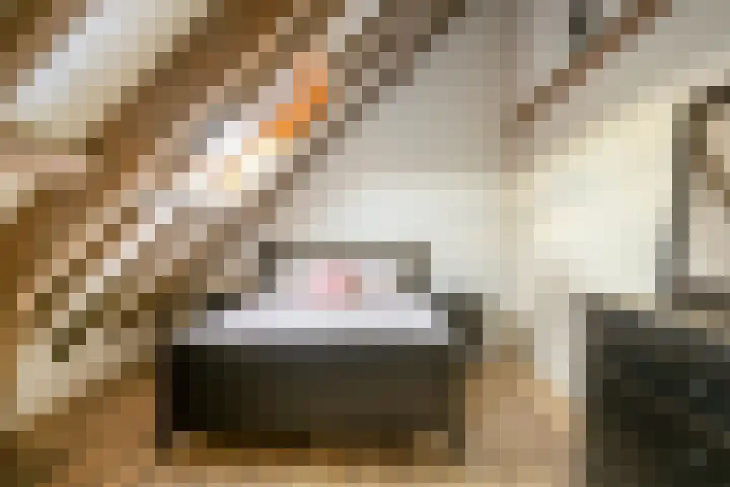 Heikantstraat 38 Someren thumbnail 38