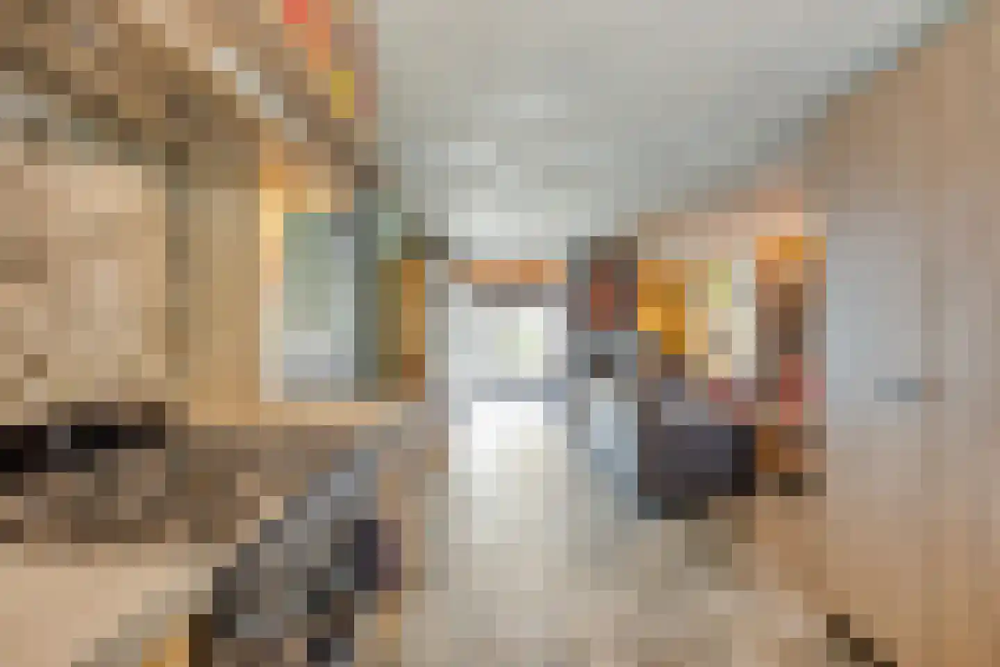 Heikantstraat 60 Schijndel thumbnail 12