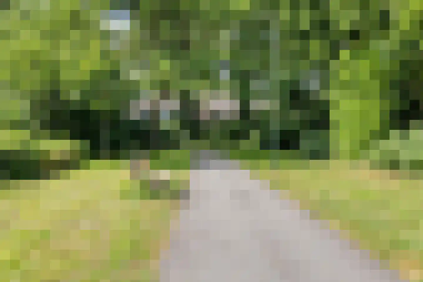 Heikantstraat 60 Schijndel thumbnail 34