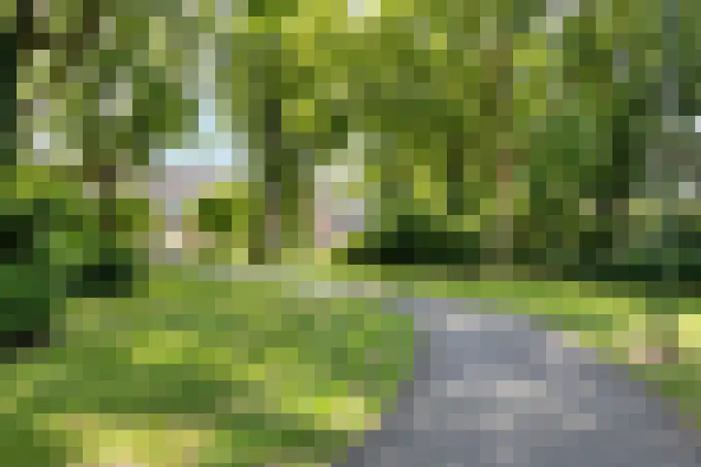 Heikantstraat 60 Schijndel thumbnail 35