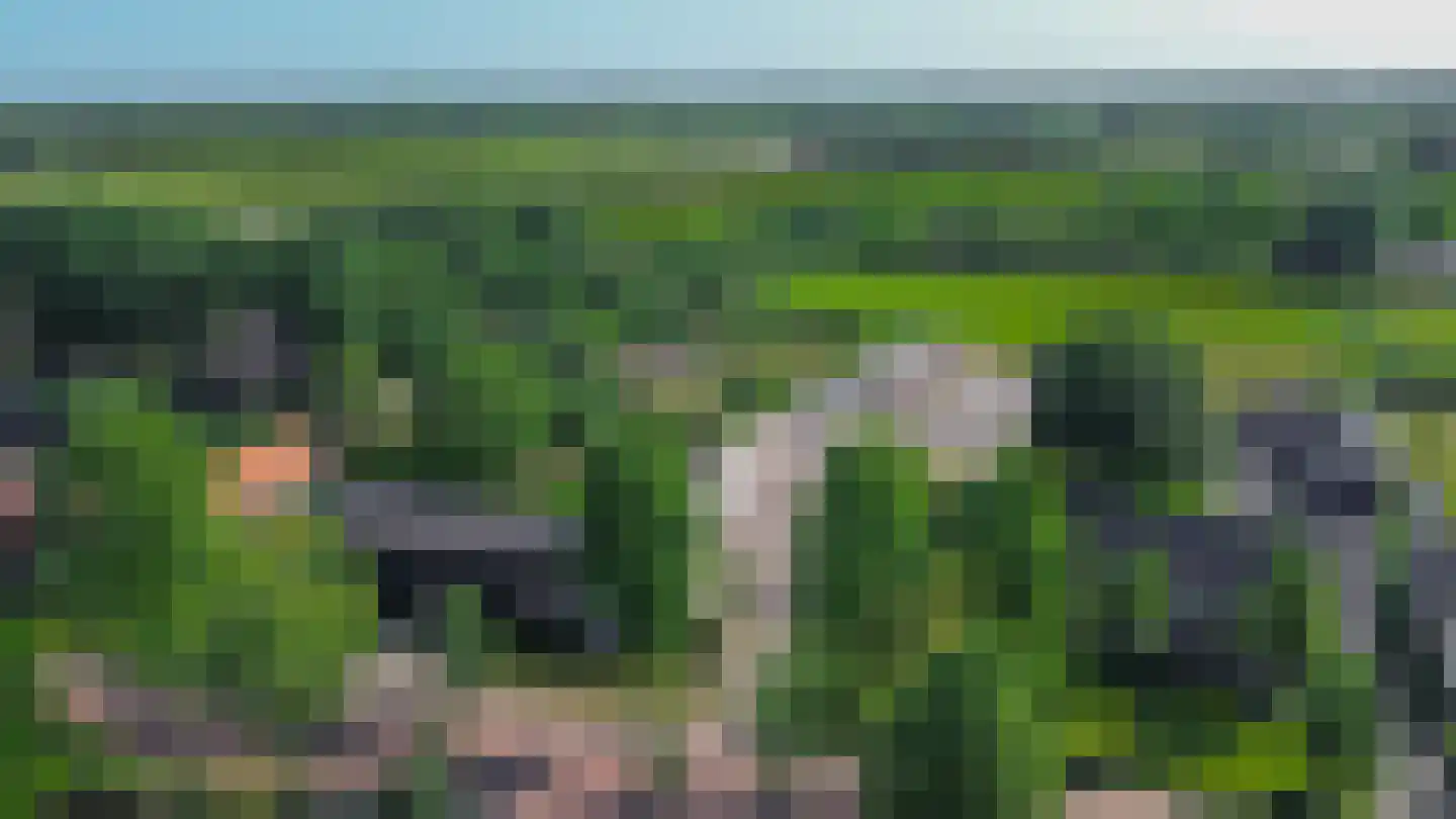 Heike 10 Vessem thumbnail 42