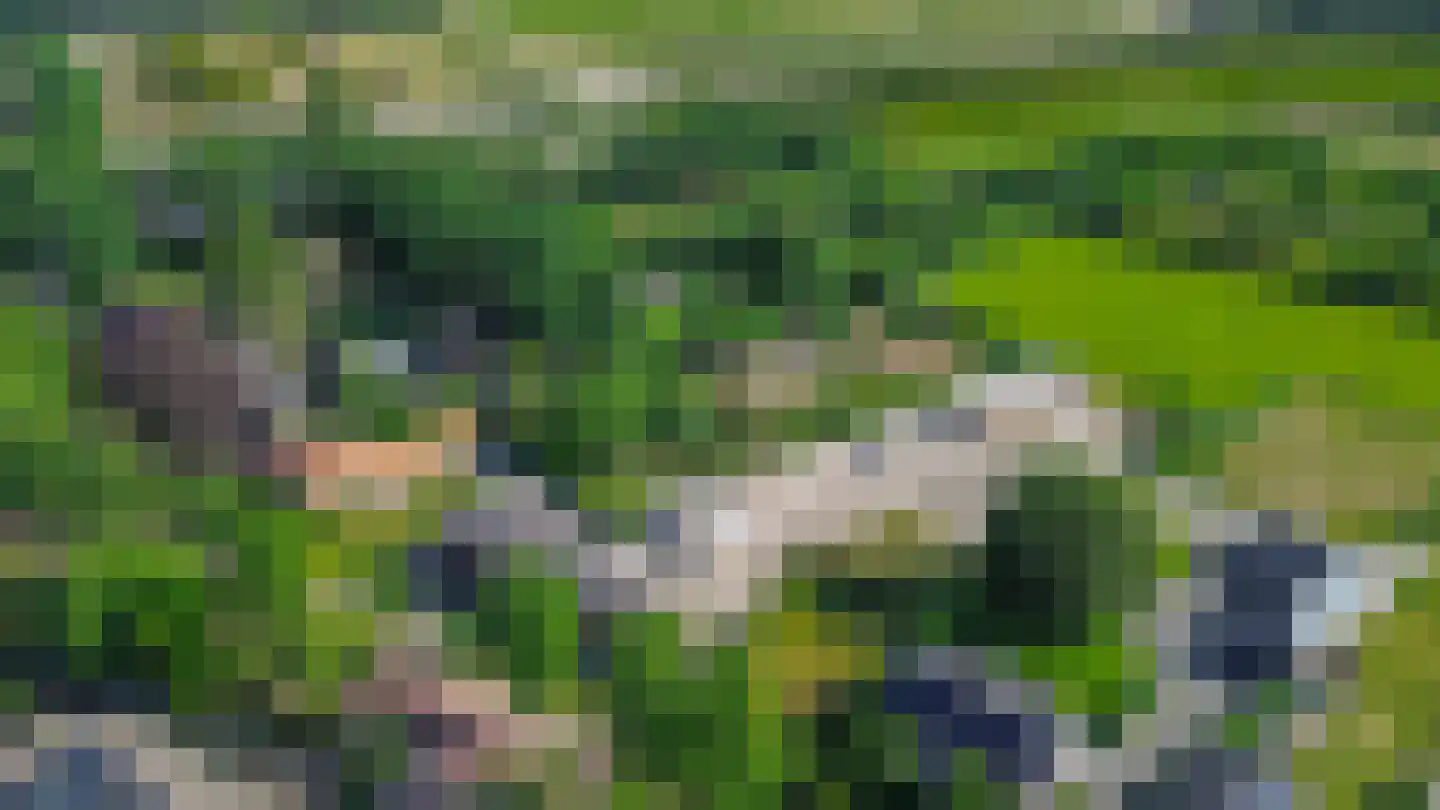 Heike 10 Vessem thumbnail 45