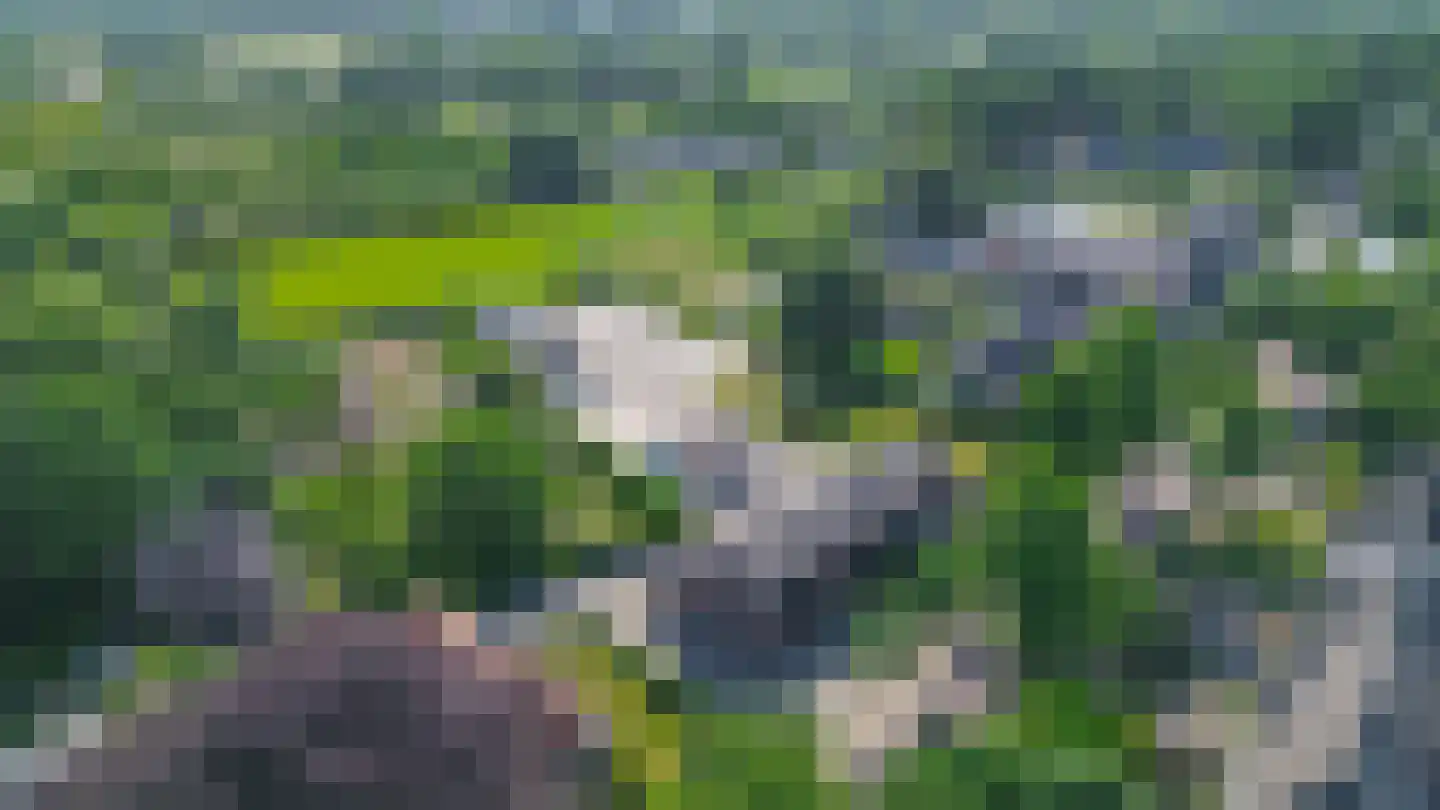 Heike 10 Vessem thumbnail 47