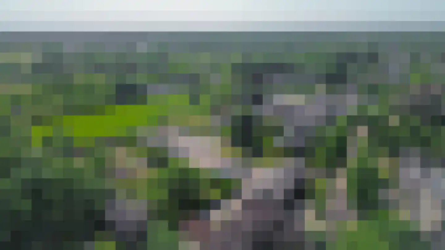 Heike 10 Vessem thumbnail 49