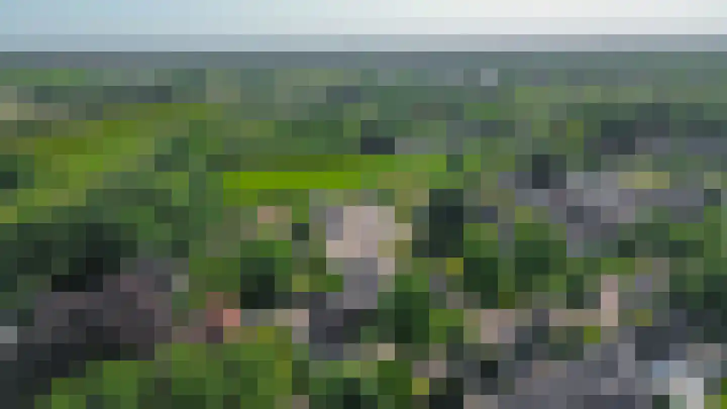 Heike 10 Vessem thumbnail 50