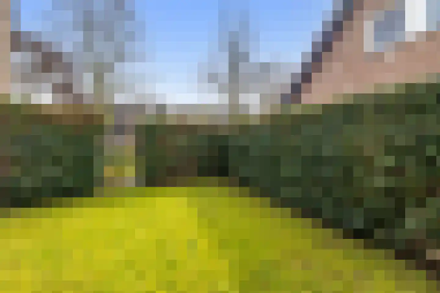 Heike 47 Veldhoven thumbnail 63