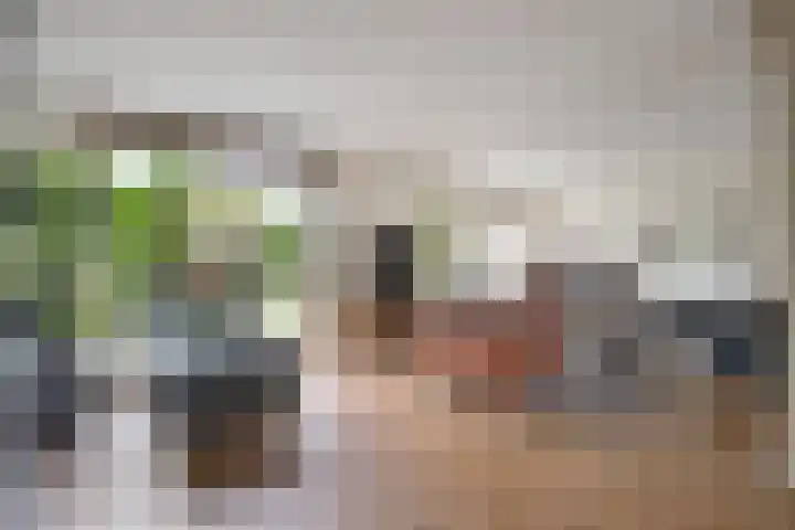 Heike 47 Veldhoven thumbnail 77