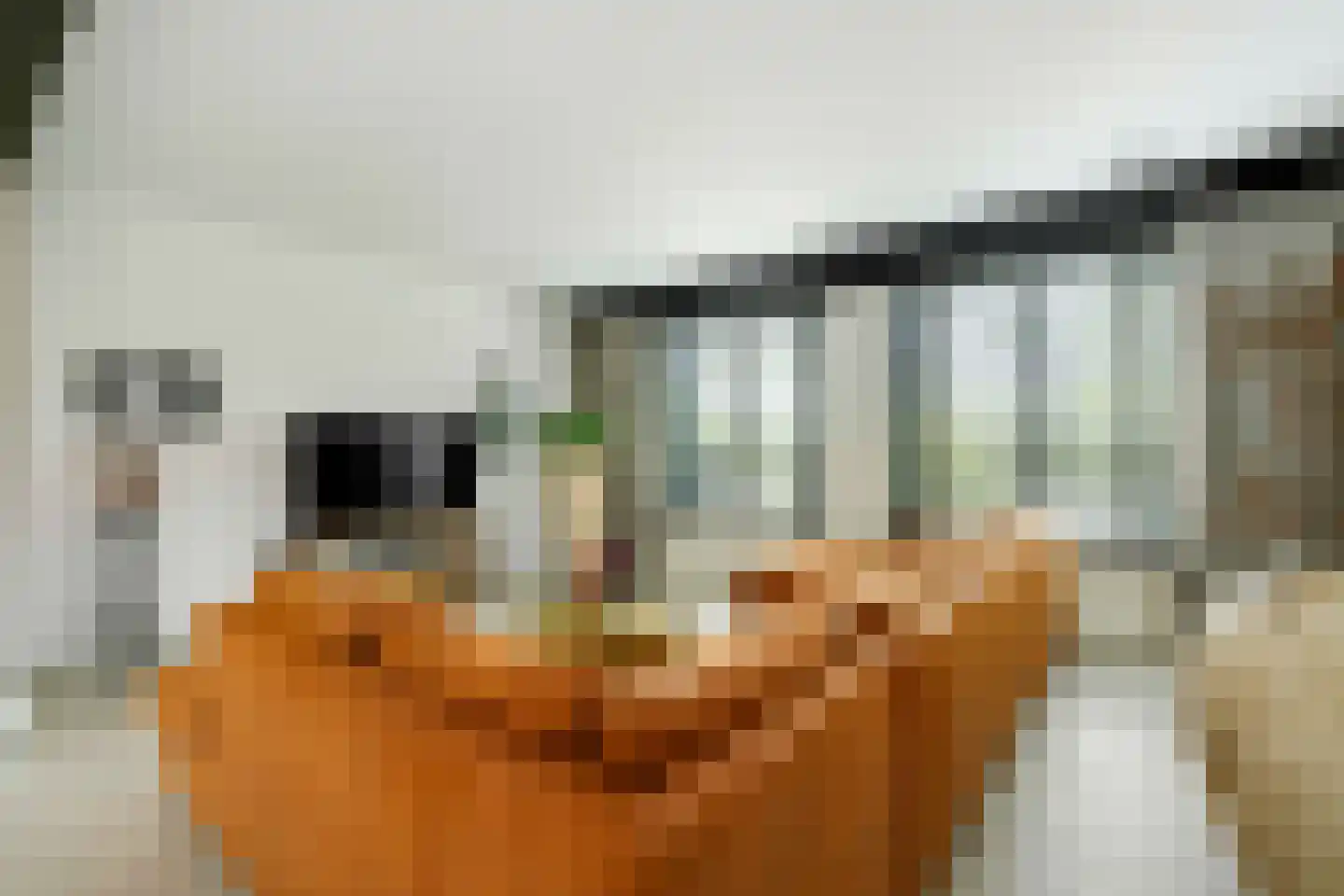 Heike 70 Veldhoven thumbnail 10