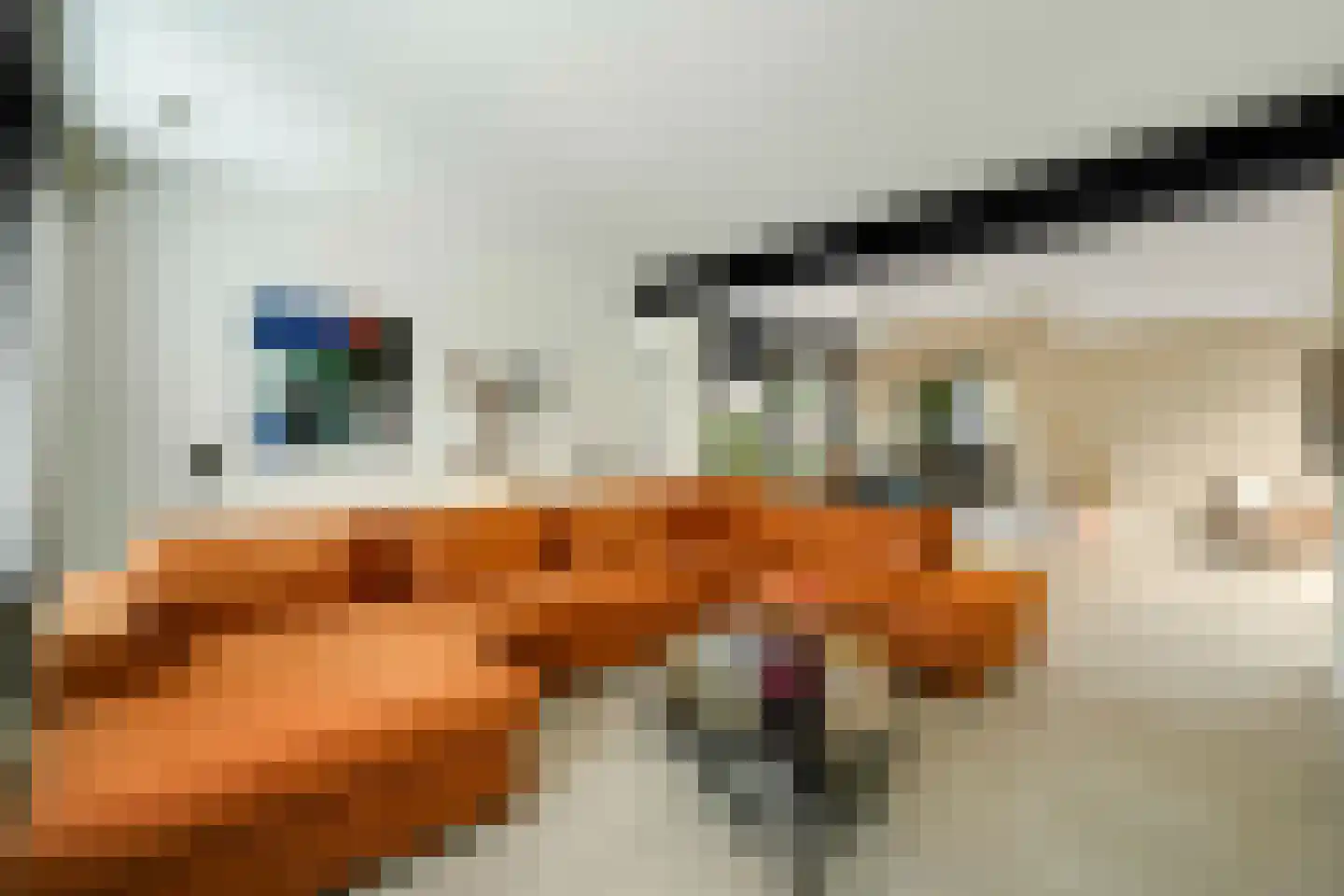 Heike 70 Veldhoven thumbnail 11