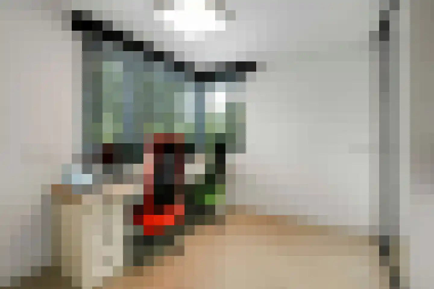 Heike 70 Veldhoven thumbnail 30