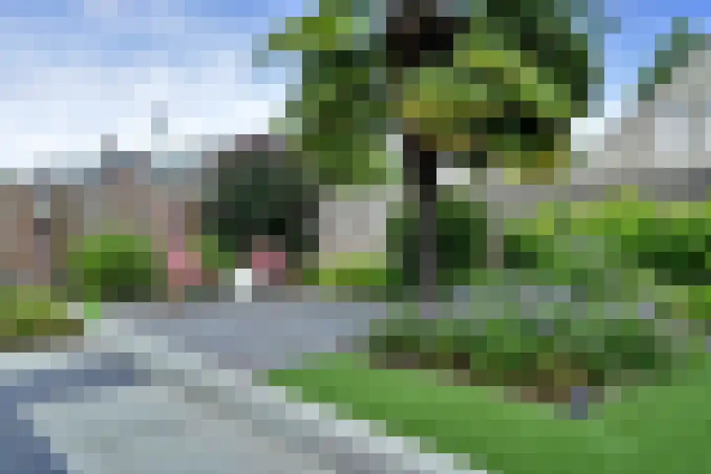 Heike 70 Veldhoven thumbnail 36