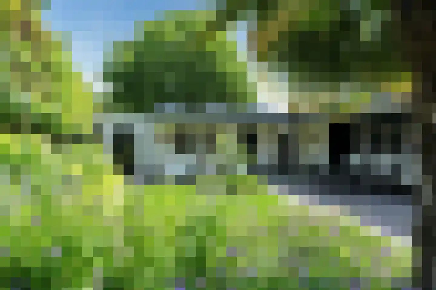 Heike 70 Veldhoven thumbnail 37