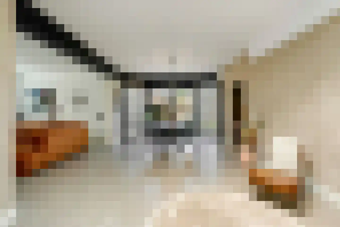 Heike 70 Veldhoven thumbnail 8