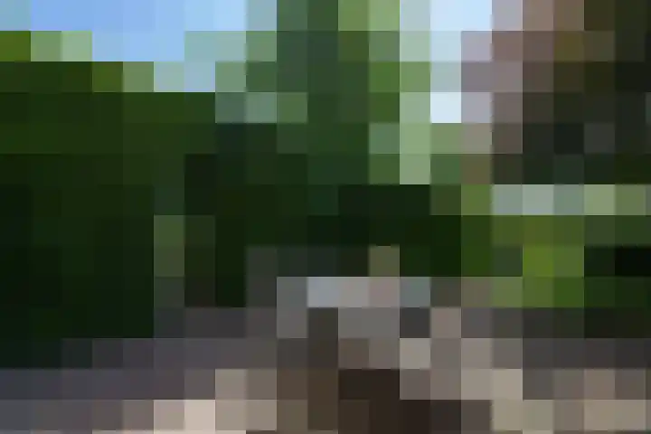 Heikempweg 1 Weert thumbnail 19