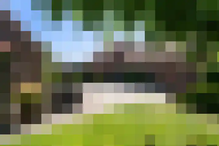Heikempweg 1 Weert thumbnail 4