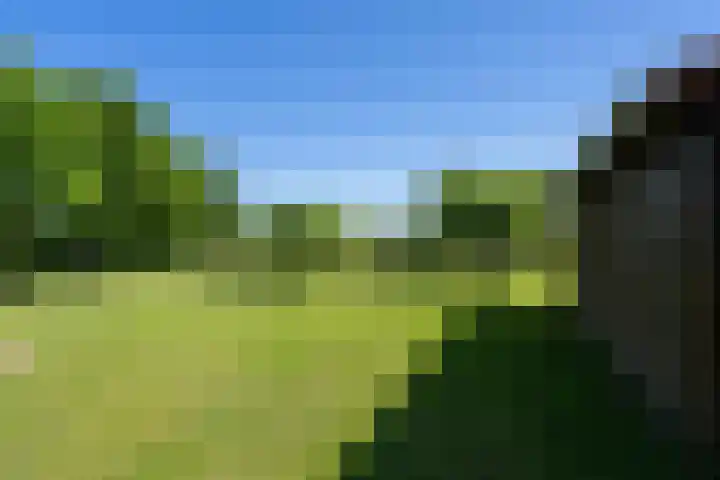 Heikempweg 1 Weert thumbnail 46