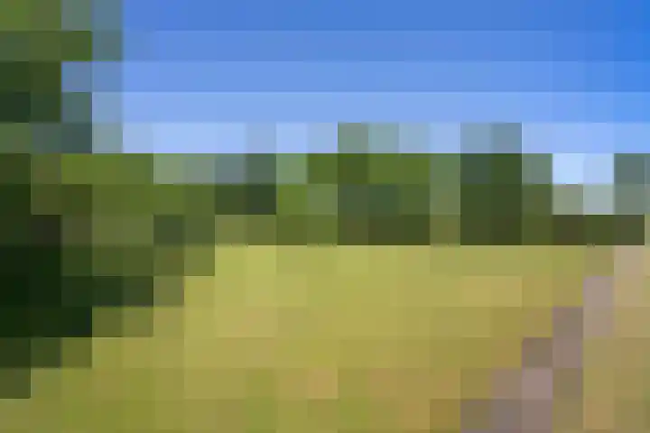 Heikempweg 1 Weert thumbnail 47